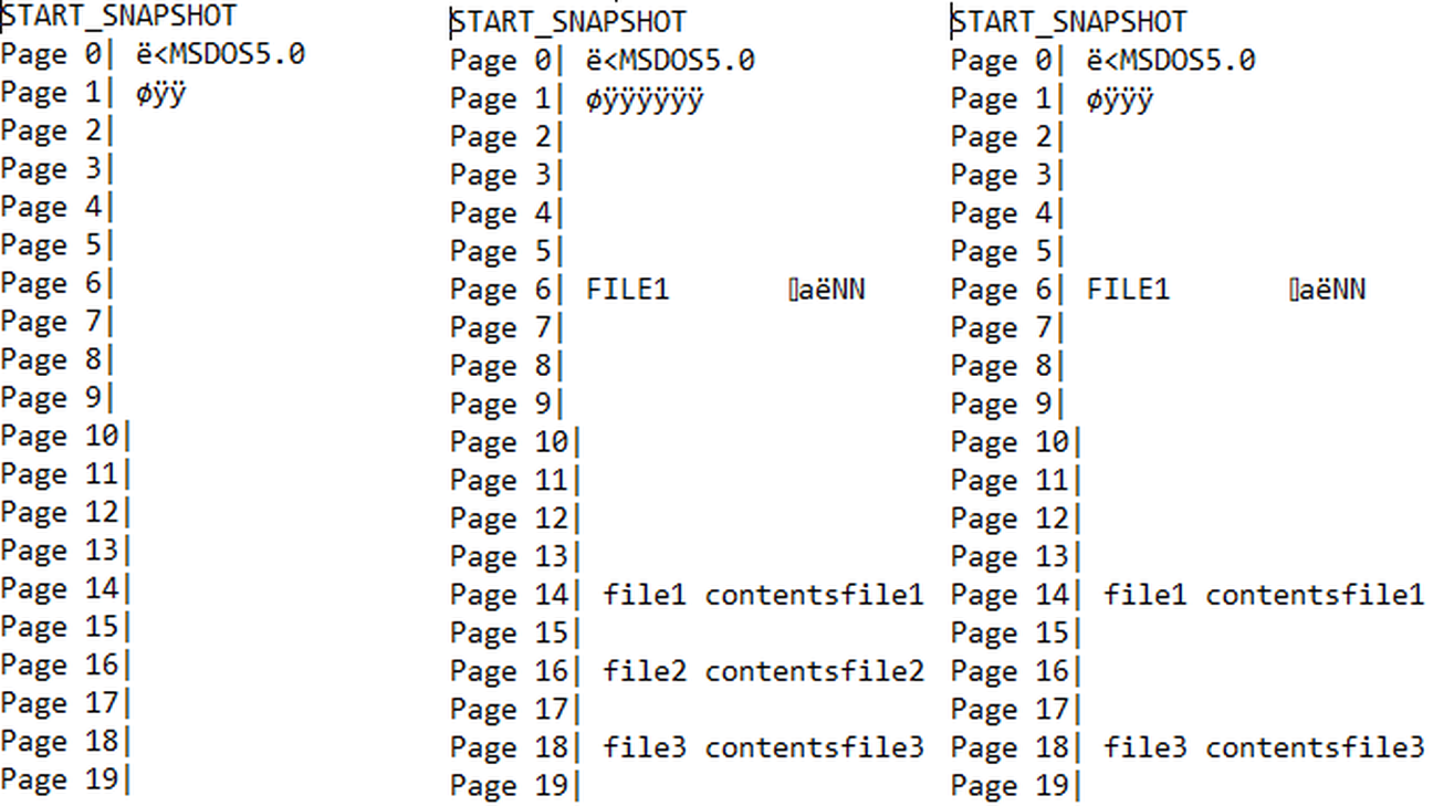 Depiction of the pages in a file system. Many pages are empty, but noteworthy are the file allocation table and contents of files.